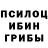 Псилоцибиновые грибы мицелий Salad V