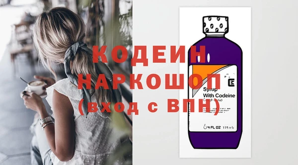 дживик Билибино
