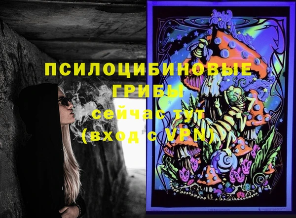 молекула духа Баксан